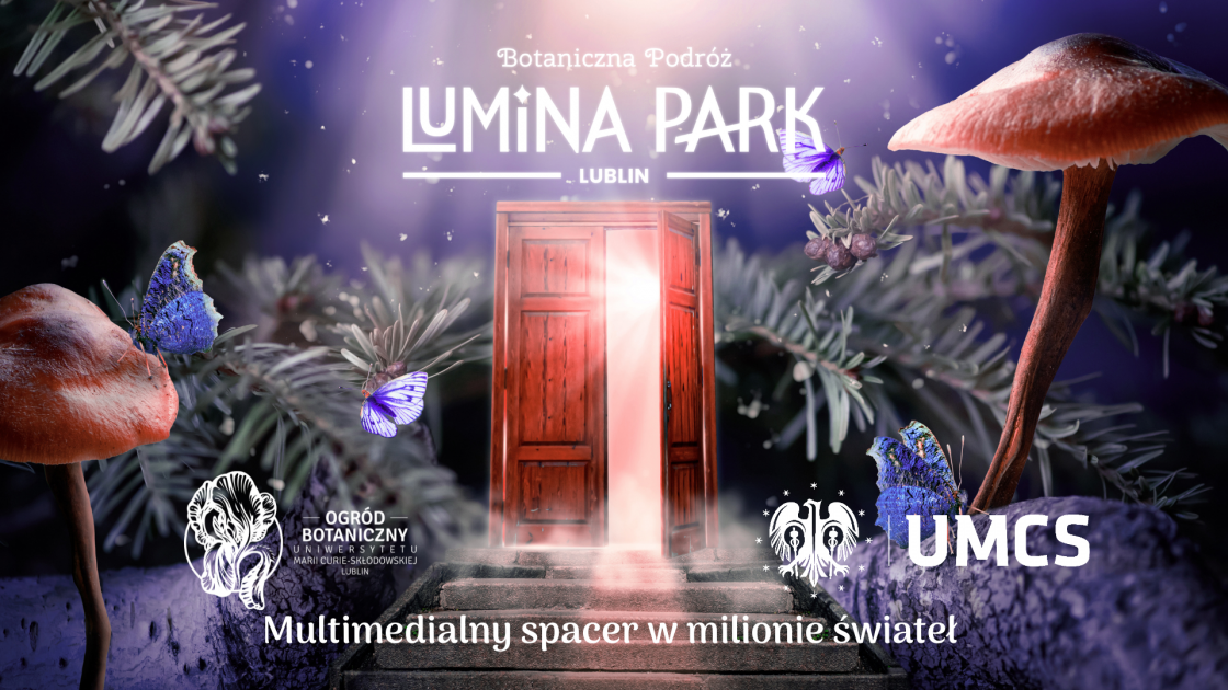 Wielkie Otwarcie Parku Iluminacji W Ogrodzie Botanicznym Umcs