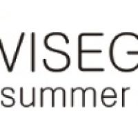 16. Visegrad Summer School - call for applications