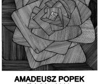 Wystawa  Amadeusza Popka "Między liryką a...
