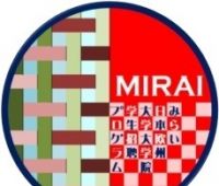MIRAI Program  (Japan) - Presentation