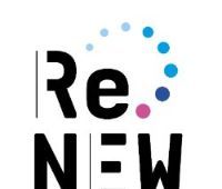 ReNEW Summer University 2020