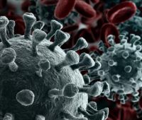 Fighting the coronavirus - current rules UPDATE