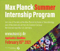 Studencki program stażowy MaxSIP w Niemczech