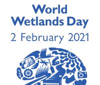 World Wetlands Day - Report