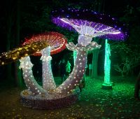 Otwarcie Parku Iluminacji w Ogrodzie Botanicznym UMCS
