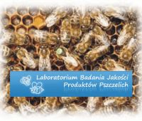 Praktyki programowe w Zakładzie Pszczelnictwa w Puławach