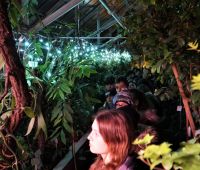 Noc Biologów w Ogrodzie Botanicznym UMCS - fotorelacja