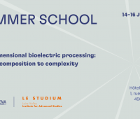 Summer School – Multidimensional bioelectric processing:...