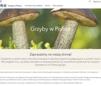 Grzyby w Polsce | Aplikacja 