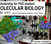 PhD-STUDENT SCHOLARSHIP (4 years) in the field of...