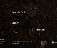 Finisaż wystawy "under_ground"!