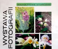„W poszukiwaniu orchidei. Michał Lin – zapomniany botanik”