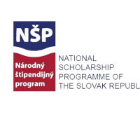  Stypendia NSP dla studentów zagranicznych, doktorantów,...