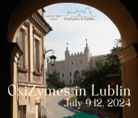 Międzynarodowa konferencja "OxiZymes in Lublin"...