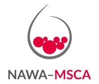 Sieć NAWA-MSCA – nowy program dla instytucji!