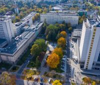 Harmonogram - semestr letni - IV edycja