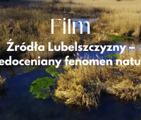 Źródła Lubelszczyzny – niedoceniany fenomen natury | film