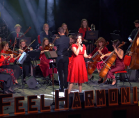 Walentynkowy Koncert Charytatywny PRAWNICY i MEDYCY na...