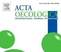A new perspective on the role and erosion of termite...
