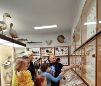 Noc Muzeów w Muzeum Zoologicznym już za nami!