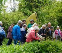 Dzień Ważki w Ogrodzie Botanicznym UMCS - fotorelacja