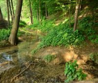 The Hydrological Heritage of UMCS – on Springs in the...