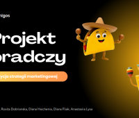 Projekt doradczy dla Web Amigos