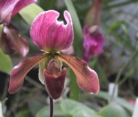 Weekend otwartych szklarni w dniach 11-12 października