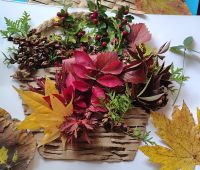 Dzień Drzewa - fotorelacja z warsztatów