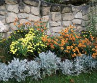 Zimowa przerwa w Ogrodzie od 1 listopada 2025 r.