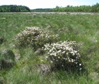 Pracownicy Wydziału Biologii i Biotechnologii powołani do...