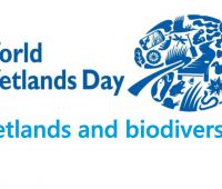 World Wetlands Day 2020 - report