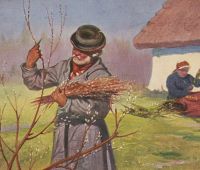 Wierzba bije, nie ja biję