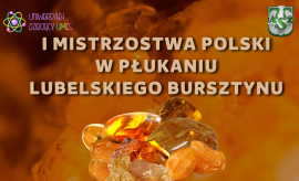 Piknik Naukowy z okazji Dnia Dziecka i I Mistrzostwa...