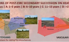 Fires in the face of climate change: Indicators of fire...