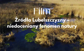 Źródła Lubelszczyzny – niedoceniany fenomen natury | film