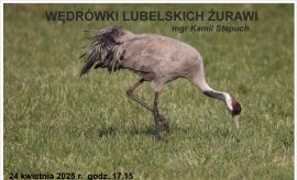 Aktualności