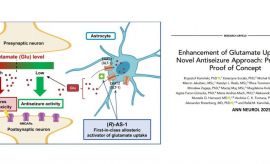 Publication of the Month - Dr. Katarzyna Socała, prof. of...
