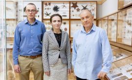 The world of insects in the research of employees of the...