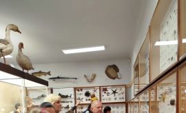 Noc Muzeów w Muzeum Zoologicznym