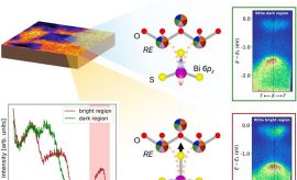 New Publication in ACS Inorganic Chemistry