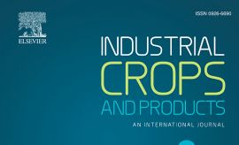 Sustainable use of industrial hemp biomass on degraded land
