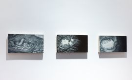 Małgorzata Pawlak | Biegam po stepie