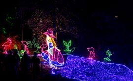 Wyjątkowy spacer z Alicją w Ogrodzie Czarów