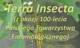 "Terra Insecta" - świętujemy Rok Entomologii!