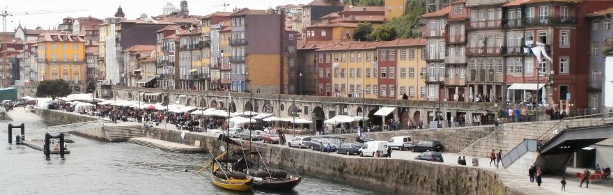 Centrum Języka Portugalskiego/Camões