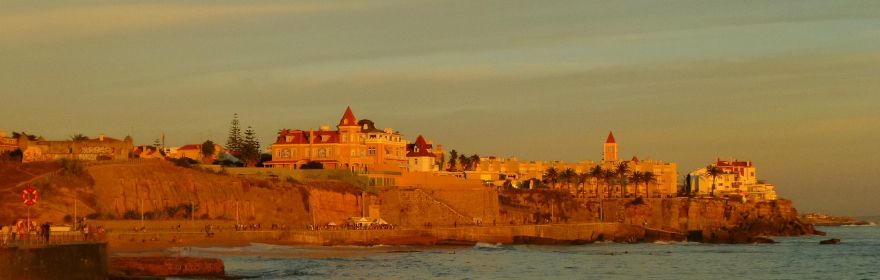 Centrum Języka Portugalskiego/Camões