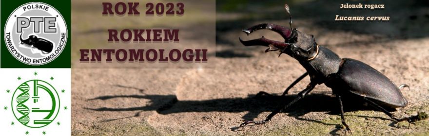 Rok 2023 Rokiem Entomologii