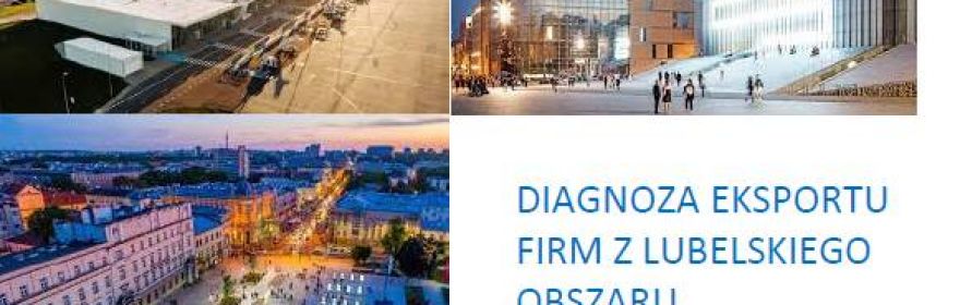 DIAGNOZA EKSPORTU FIRM Z LUBELSKIEGO OBSZARU...