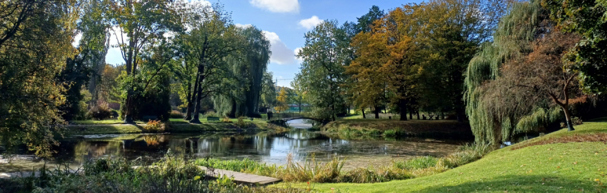 Witamy na stronie Ogrodu Botanicznego!